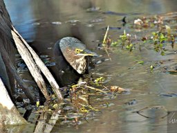 Florida_2007-2008-019